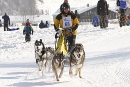 Lenk 2012 SM
